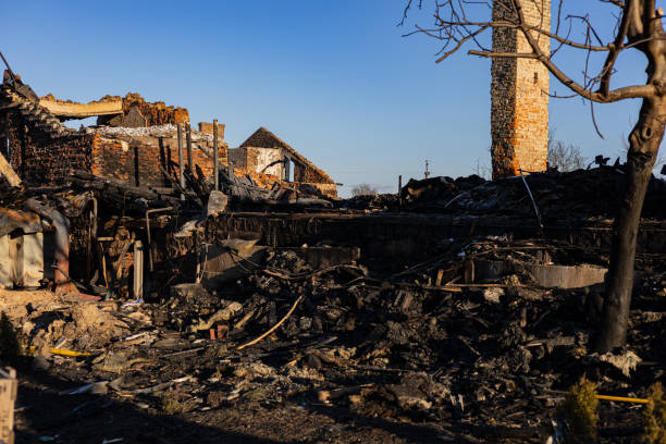 Reliable Content Restoration contractor in Englewood, FL by Fire Damage Doption